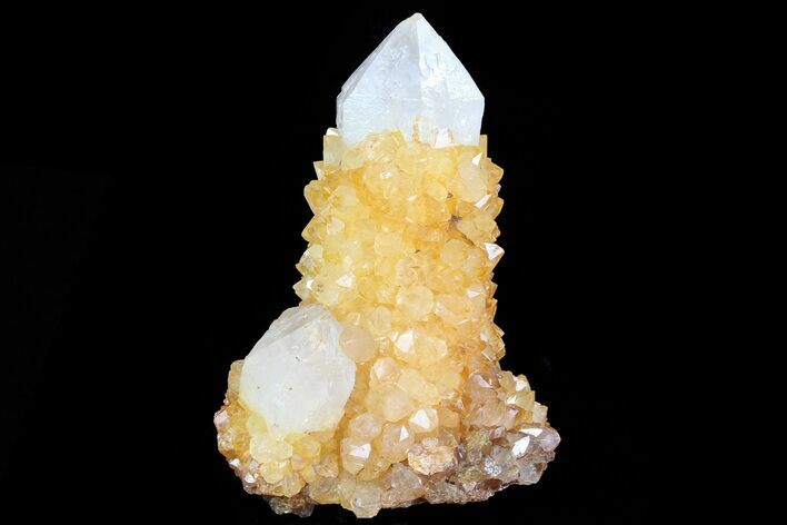 Sunshine Cactus Quartz Crystal Cluster - South Africa #80194